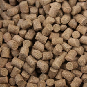 Fish Feed Pellets 3
